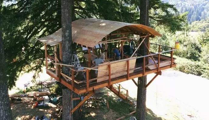 创意设计,树屋,侘寂,俄勒冈州