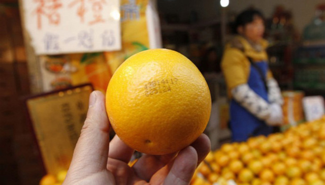 生鲜电商,冷链,物流,京东,顺丰