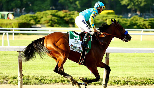 赛马,美国法老，体育市场