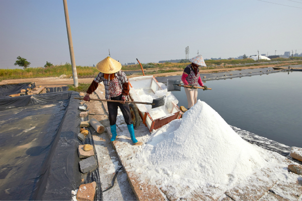 盐业,专营,垄断