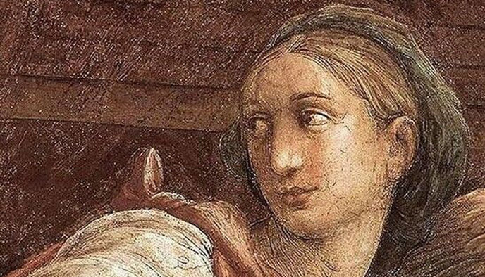 粉丝,脑残粉,流氓,同路人