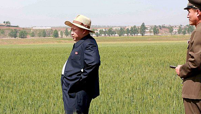 朝鲜,金正恩,儿童,饥荒,食物短缺,干旱