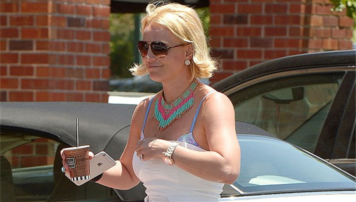 小甜甜布兰妮：14年“7.1万美元美容 2.4万美元养狗”