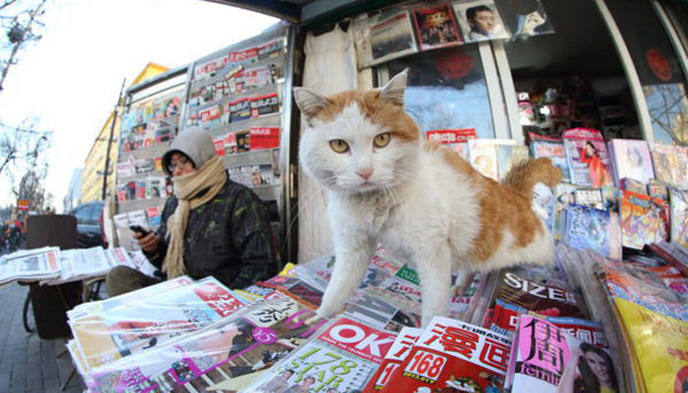 传媒,新媒体,纸媒,转型