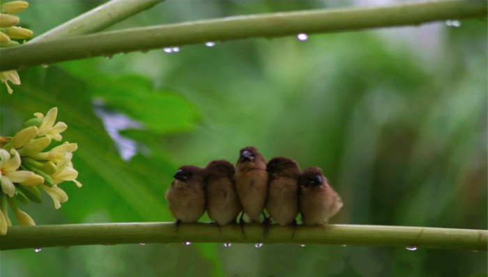 职场榜样,LinkedIn,霍夫曼