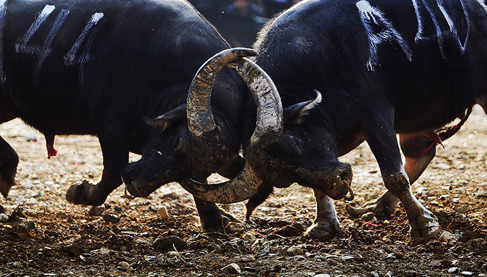 6家机构增持永新股份至15%