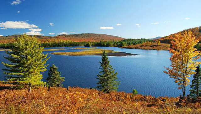 马云在美国买了100多平方公里面积的森林