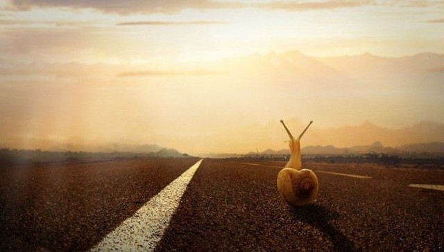 可穿戴设备,创业公司,体验,VINCI