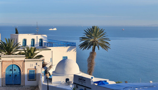 突尼斯,度假酒店,枪击,恐怖