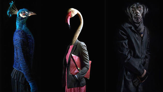 这家叫环时互动的公司，为什么总能帮陌陌和杜蕾斯做出牛逼广告？