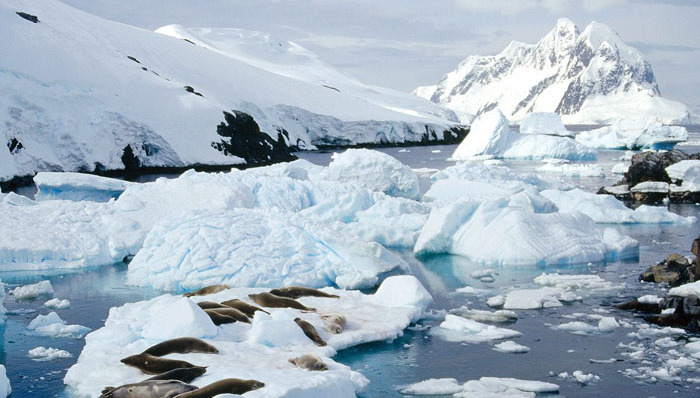 气候变化,自主贡献,中国