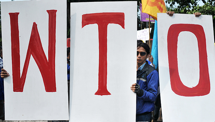 WTO保护期的真相