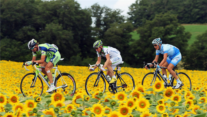 环法开战在即 图解车手每天所要消耗的6071卡路里