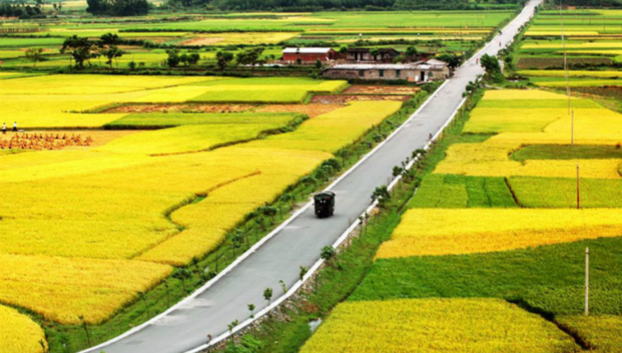 京东,腾讯,农村电商