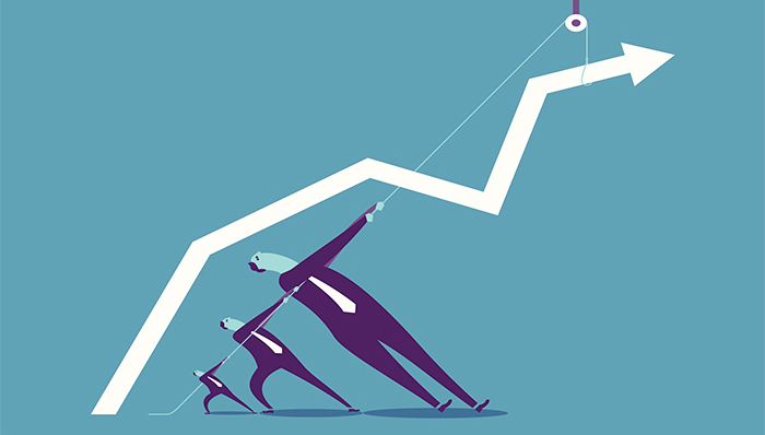 21家券商救市,上市券商没有公告相关情况