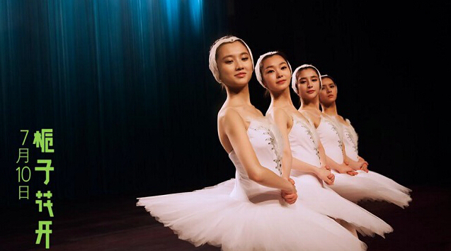 歌曲,电影,IP,改编