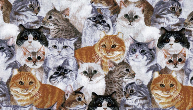 猫,,猫咪,,喵星人,,购物,,创意,,产品