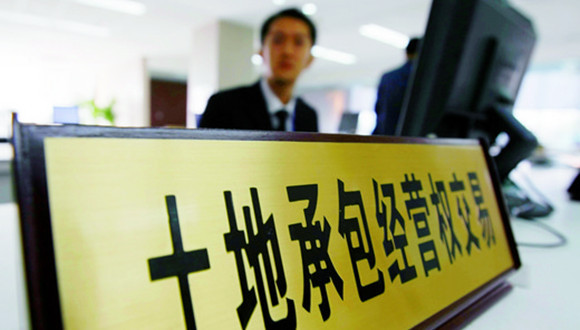 土地,改革,试点