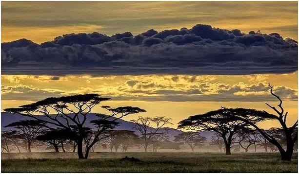 国家公园,全球,桂林漓江