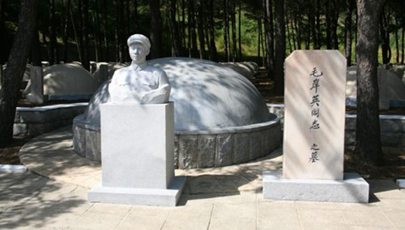 毛岸英,牺牲,彭德怀