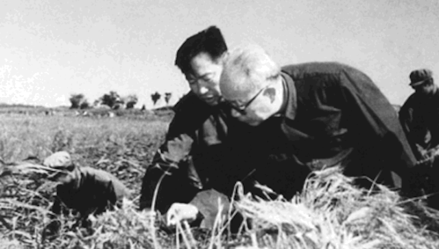 万里,农村,改革