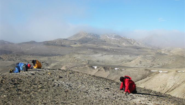 南极,,化石,,精子,,环节动物,,茧,,生物,,科学
