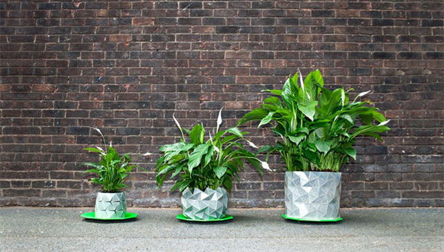 花盆,,植物,,日本折纸,,创意,,自然,,设计