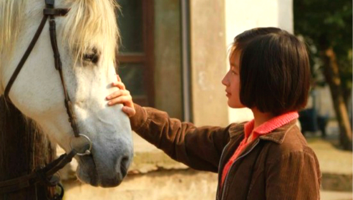 少女哪吒,金马奖,栀子花开,小时代,郭敬明,何炅,文艺片