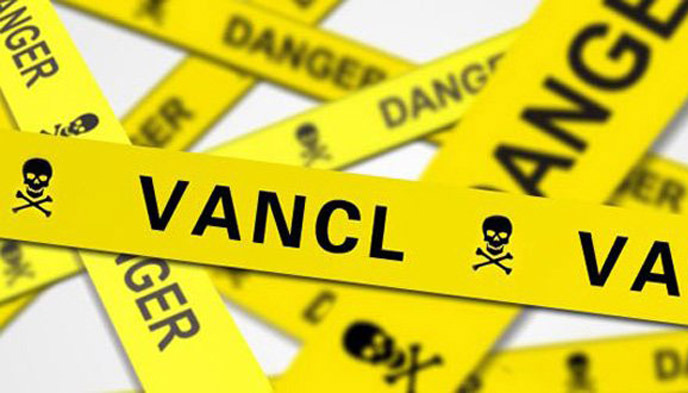 凡客,陈年,匡威,淘宝