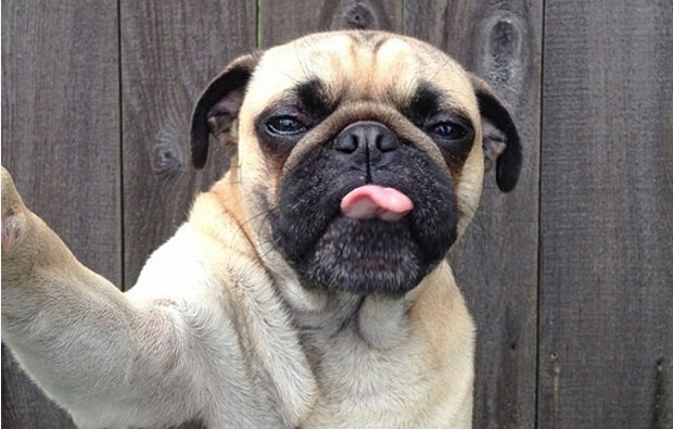 短视频,小咖秀,UGC,黑马