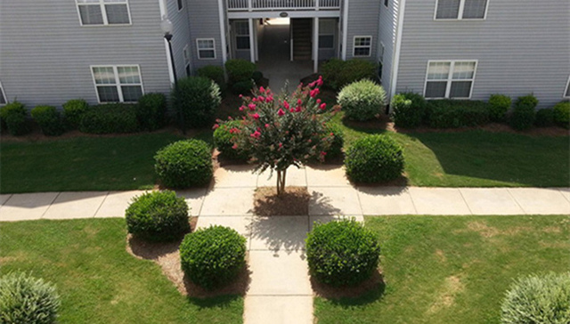 创意,,强迫症,,处女座,,图片,,分享