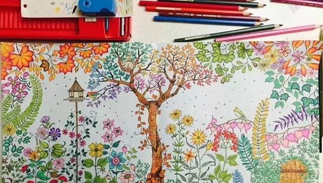 秘密花园,涂色书,创意