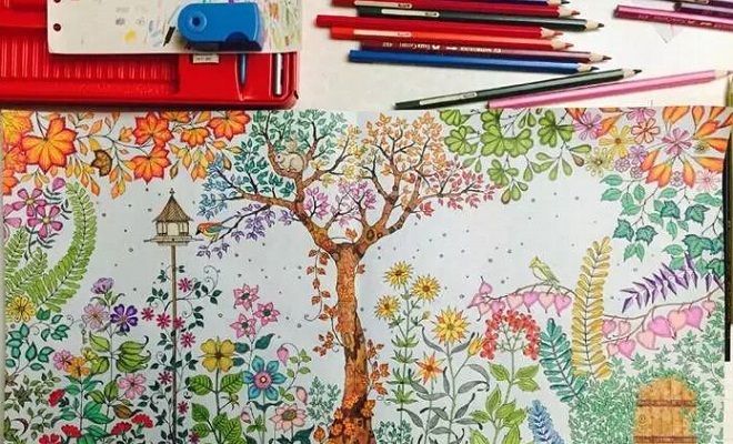 秘密花园,涂色书,创意
