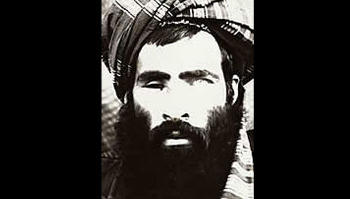 塔利班,奥马尔,本拉登,基地组织