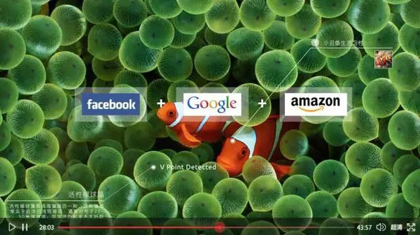 云视链事件跟踪