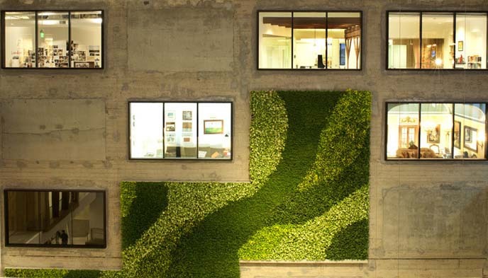 小猪短租,Airbnb,蚂蚁短租,在线短租