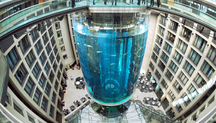 德国,,柏林,,水族馆,,海洋生物,,夏天,,孩子,,美人鱼