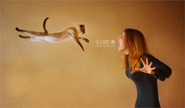 微博,段子手,广告公司,公关,文案,客户