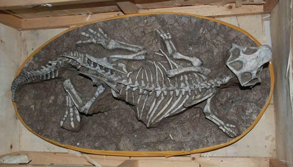 河源,恐龙,化石