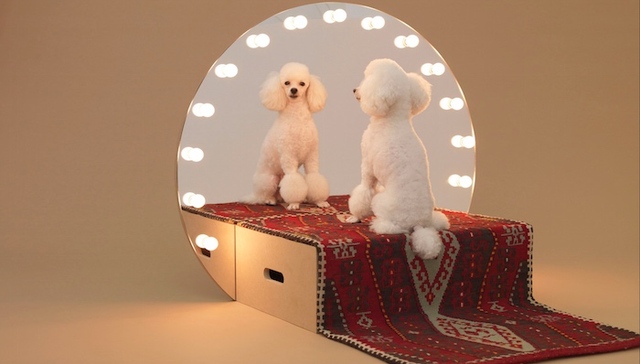 原研哉策划了个狗建筑展 用狗狗的视角看世界