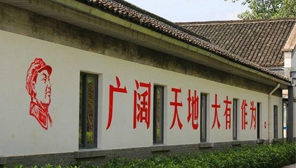 农村电商,刘强东,京东,情怀