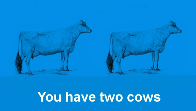 政治经济,资本主义,母牛,newstalk