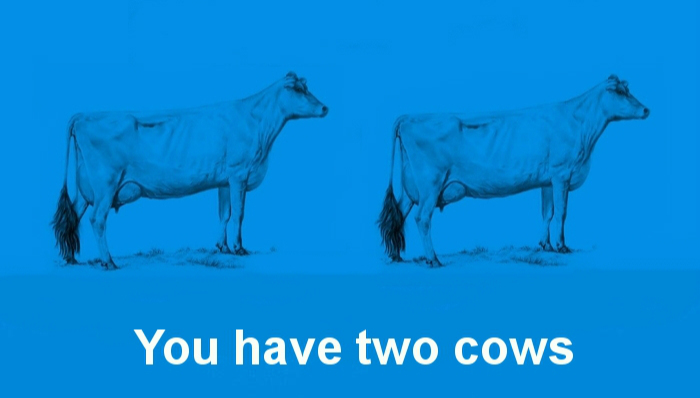 政治经济,资本主义,母牛,newstalk