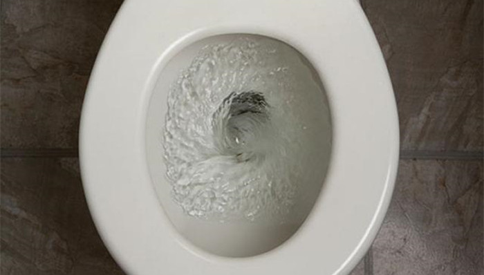 日本,拳击,丁丁,马桶