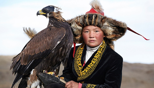 猎鹰,蒙古,哈萨克,柯尔克孜