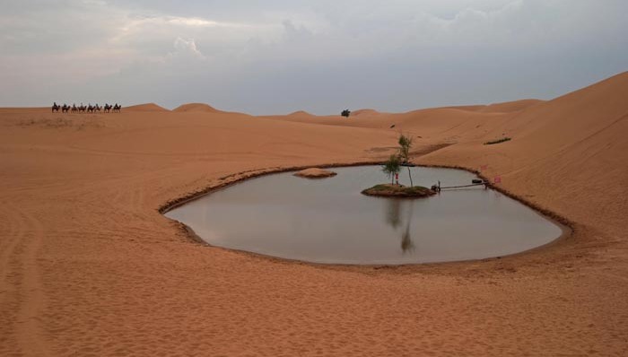腾格里,沙漠,污染,起诉,驳回