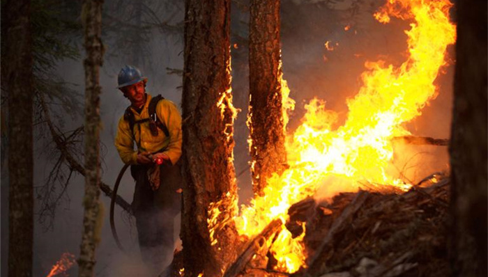 森林大火,火灾,加利福尼亚,消防员,摄影