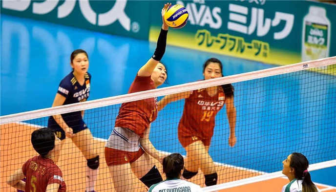 女排,世界杯,央视