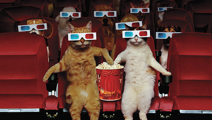 华谊兄弟的新媒体