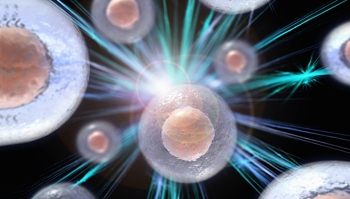 锤子手机,专利战,股市大跌